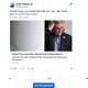 Figure one, Bannon enlarged for scale.